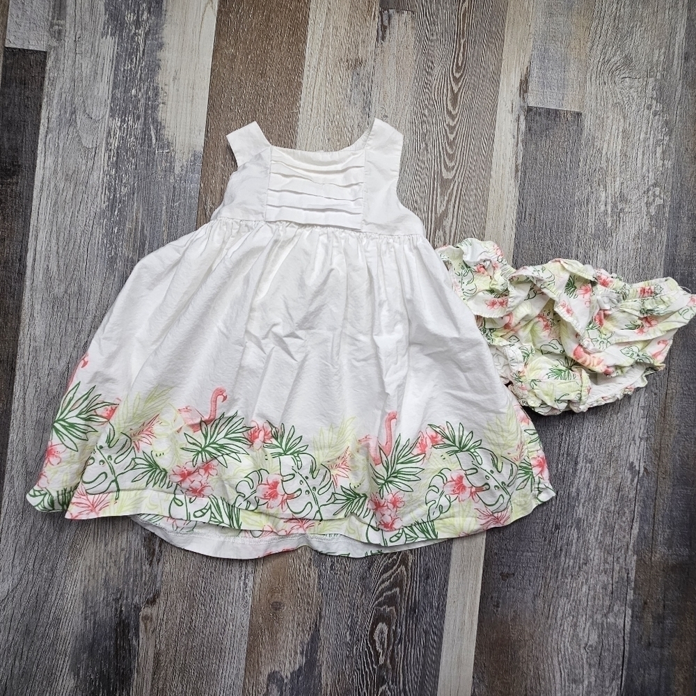 Janie and Jack Summer 2016 Pink Flamingo Dress + Bloomers 3-6 Months